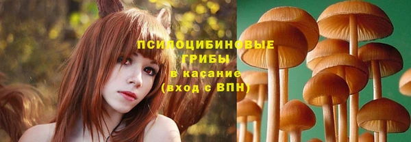 каннабис Алексеевка