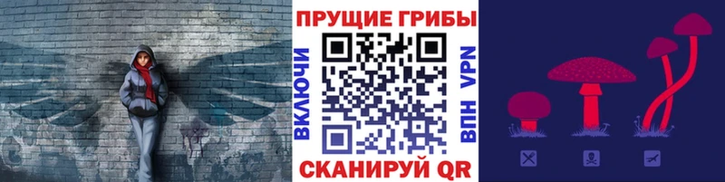 Галлюциногенные грибы GOLDEN TEACHER  где купить наркоту  blacksprut маркетплейс  Чаплыгин 